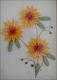 paper quilling-yellow-flower.jpg